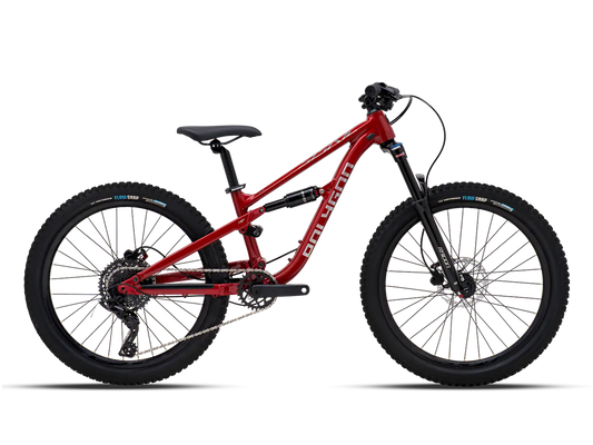 Siskiu D24