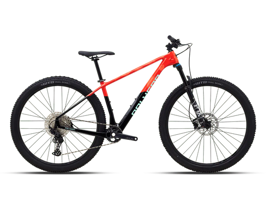 Syncline C5