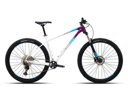 XTRADA 7